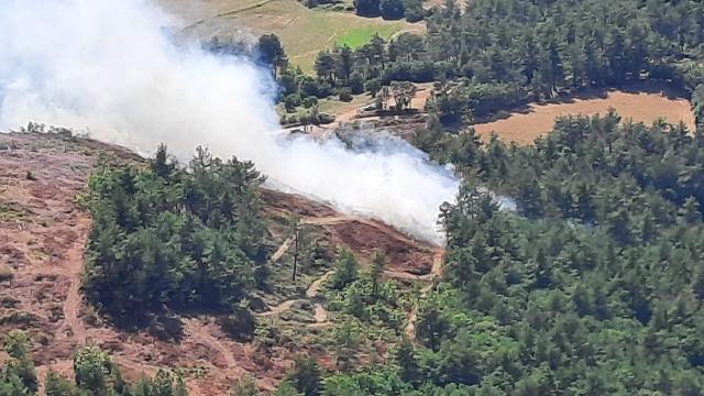 Çanakkalede orman yangını: Karadan ve havadan müdahale sürüyor