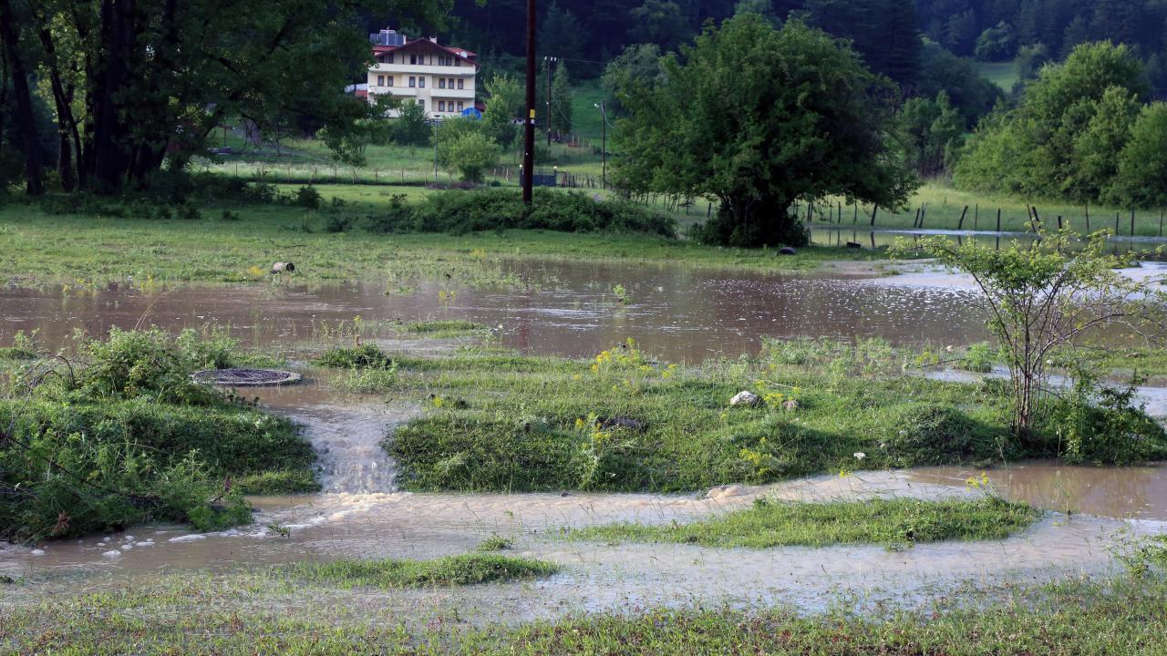 BOLU