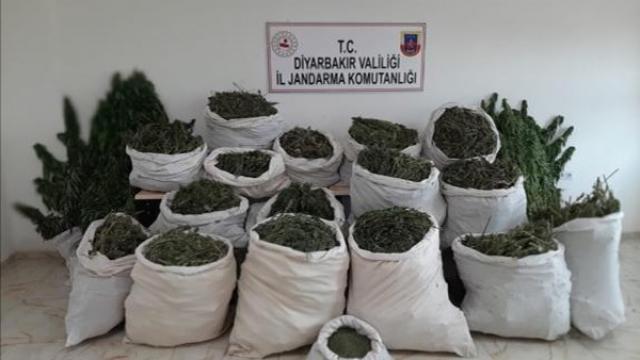 Diyarbakırdaki narko terör operasyonunun ilk gününde 6 milyonu aşkın kök kenevir ele geçirildi