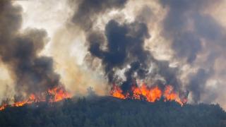 Marmaris yangının yayılmasını 'karşı ateş tekniği' önledi
