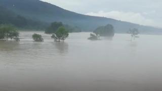 Filyos Çayı taştı, tarım arazileri su altında kaldı