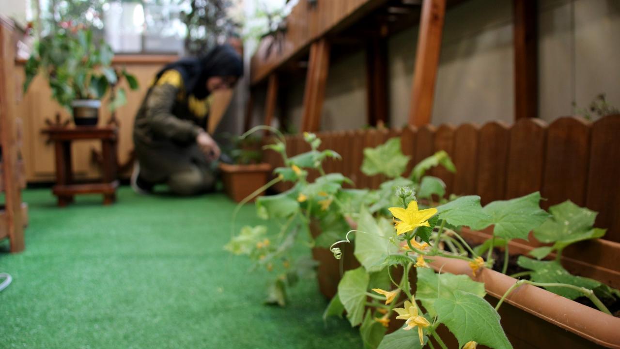  Tohumların her aşaması öğrencilerle takip edildi