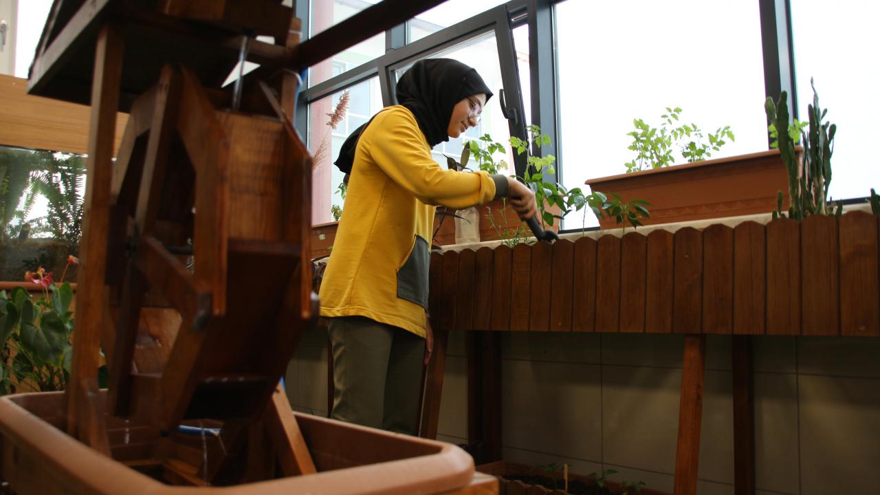 "Bitkilere evdeki kardeşlerimizi sever gibi ilgiyle bakıyoruz"