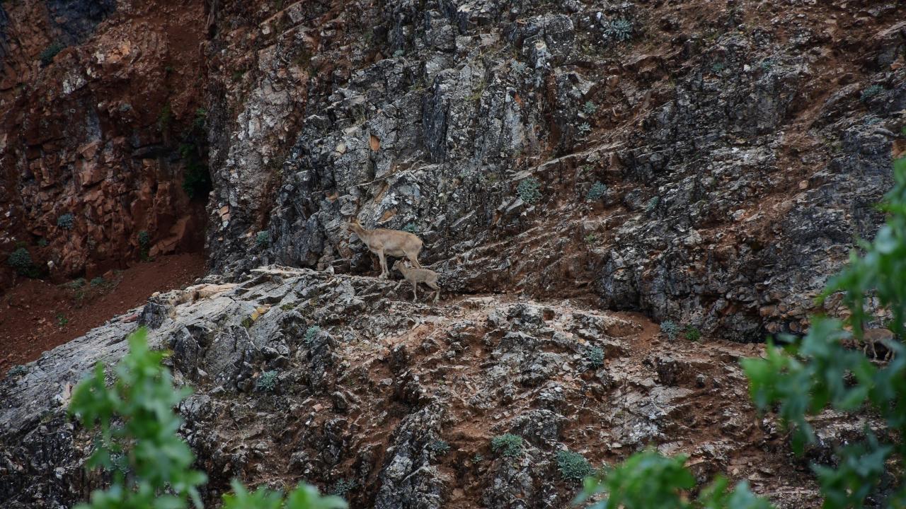  "Dehlizlerin içerisinden geçmek müthiş heyecan verdi"