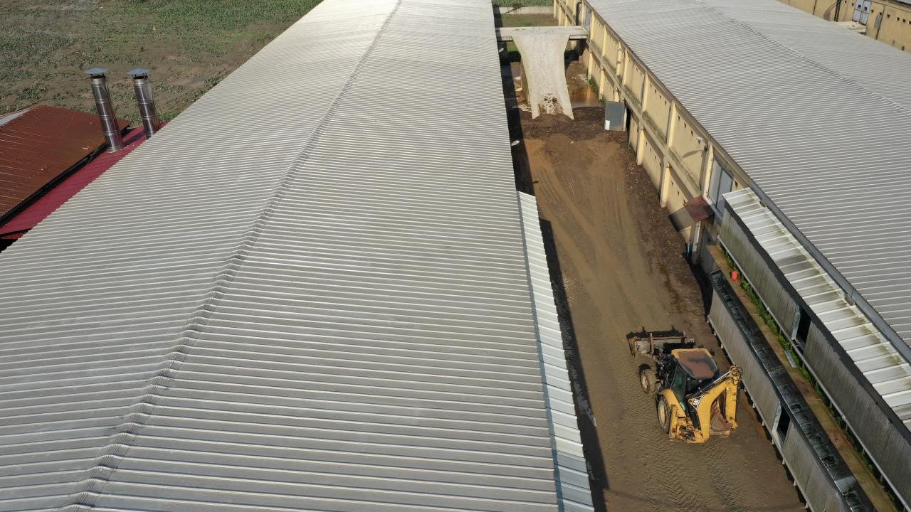 "Canımızı kurtarma derdine düştük"