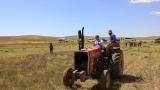 Van Valisi Ozan Balcı arazide traktörle ot biçti