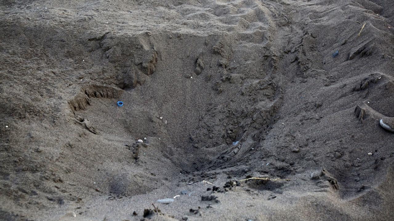 Hatay`da yuva sayısı 700`e ulaştı