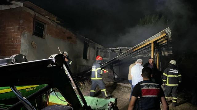 Kocaelide ahır yangını: 7 büyükbaş hayvan telef oldu