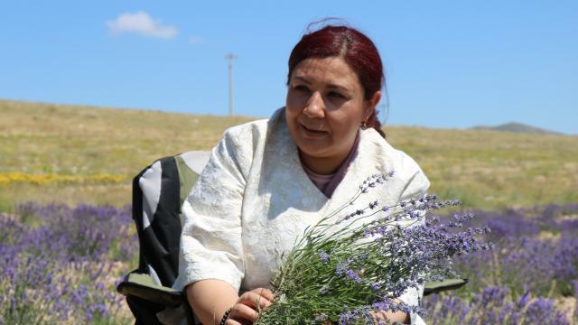 Bozkır topraklar, lavanta bahçeleri ve orman varlığıyla yeşeriyor