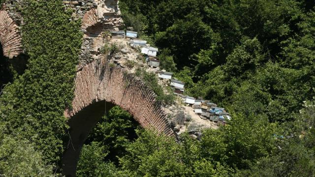 Tarihi su kemerinde tahribat: Üzerine kovan koydular
