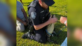 ABD'de bahçeye giren timsahı polisler doğal yaşam alanına bıraktı