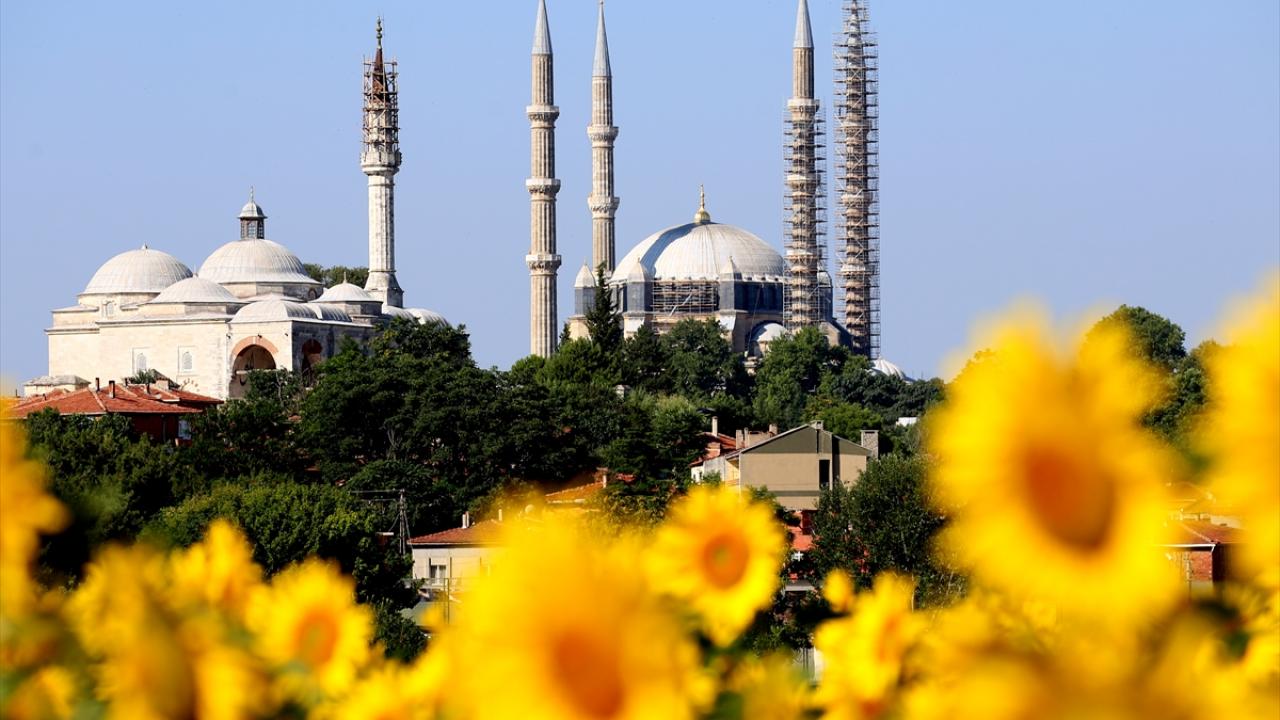 "Çiftçilerimiz emeklerinin karşılığını alacak"