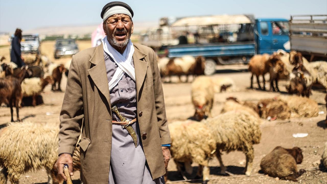 Pahalılık, kurban pazarlarını etkiliyor