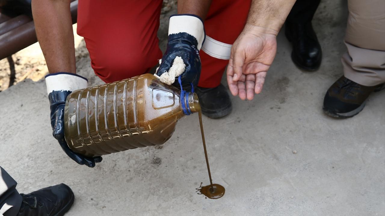 "Bölgede benzer potansiyellere sahip 4-5 saha daha var"