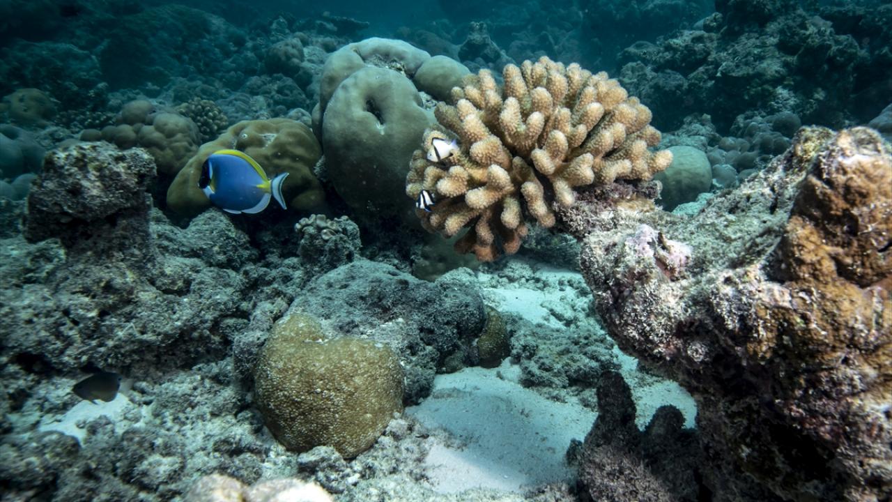 İşletmeler önlemleri sıkılaştırıyor