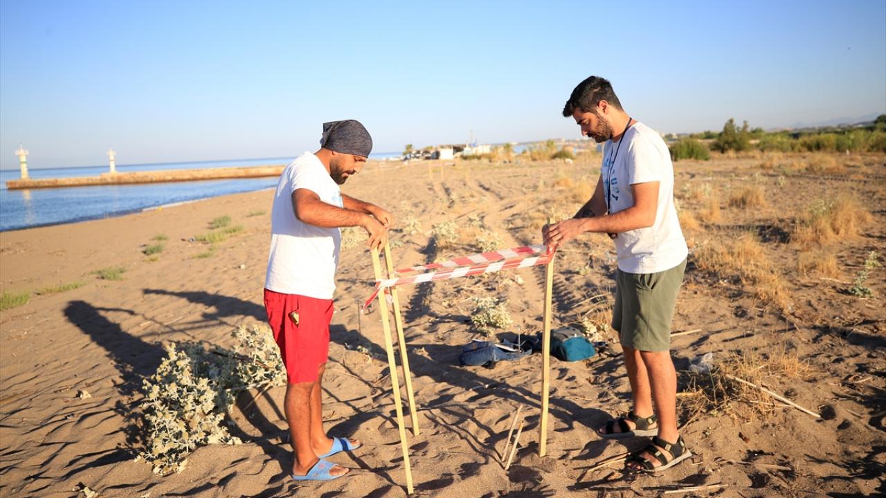 "Kaplumbağalara gönül verdim ve bu şekilde de devam edecek"