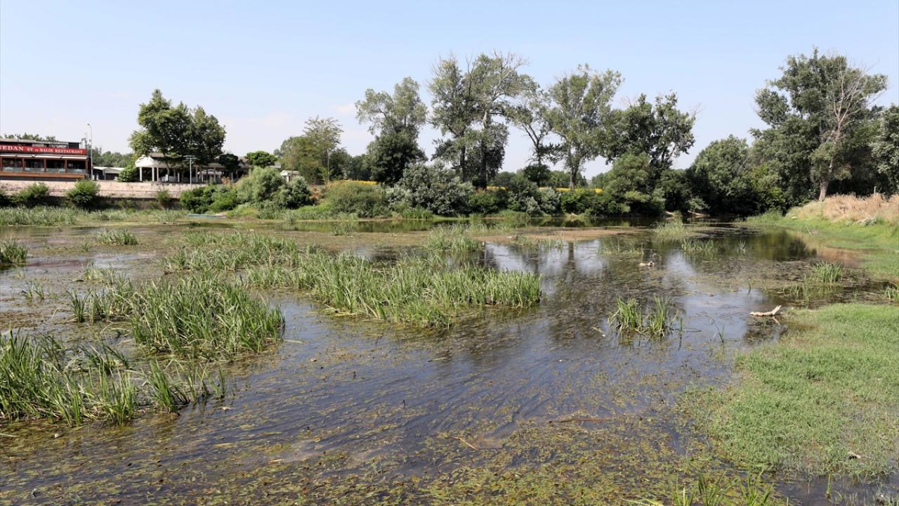 "Piknik yapanlar çöplerini buraya atıp gidiyor"