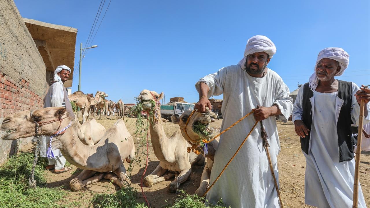 Burkaş deve pazarı, yabancı ziyaretçileri de ağırlıyor