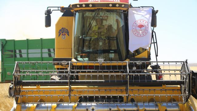 Nevşehir Valisi İnci Sezer Becel, hasat etkinliğinde biçerdöver kullandı