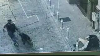 İstanbul'da pitbull ile gasp kamerada