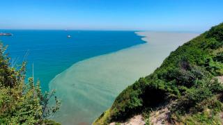 9 gün sonra Karadeniz: Selin getirdiği çamur yayılıyor