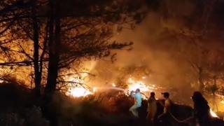 Datça ve Çeşme'de yangın: Ekipler seferber oldu