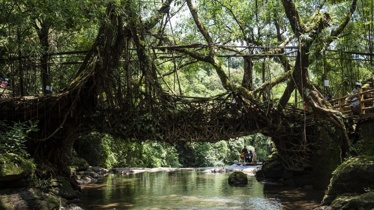 Porno aktrisalar eng yaxshi rasmlar