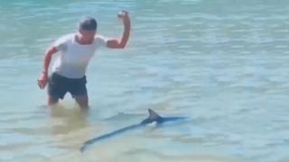 Köpekbalığı zannedilen Akdeniz zarganasını kuyruğundan yakaladı