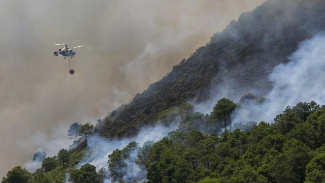 İspanya, başkent Madrid çevresindeki orman yangınları nedeniyle acil durum ilan etti haber görseli