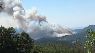 Balıkesir'de orman yangını