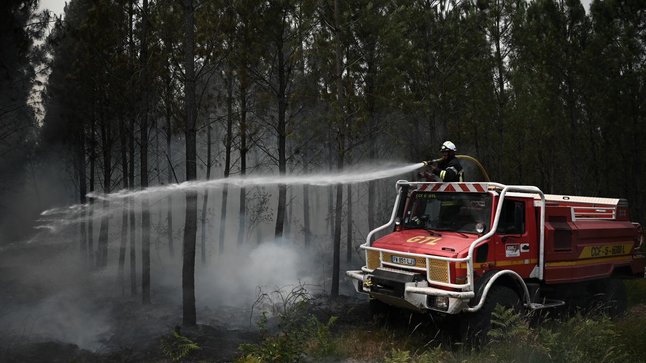 1000`den fazla hayvan başka yerlere nakledildi