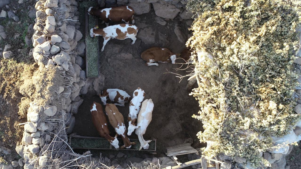 Yaylada işimiz çok zor