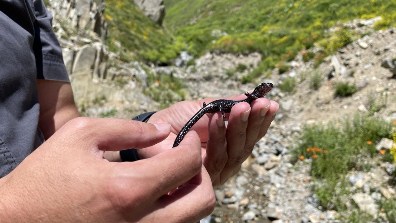 "İnsanların bundan korkmasına gerek yok"
