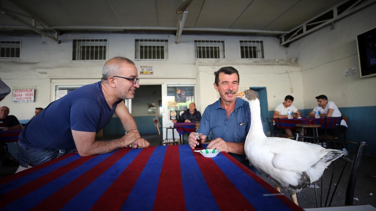 "İsmiyle çağırdığımızda anlıyor"