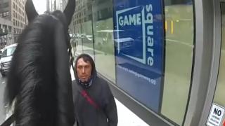 Atlı polis şüpheliyi kovaladı