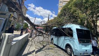 İstanbul'da yolcu dolu minibüsün üzerine ağaç devrildi