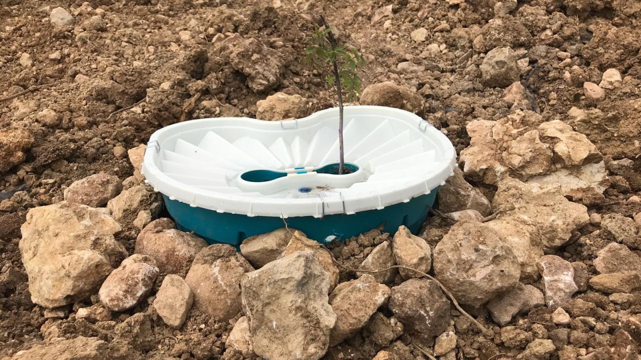 Çölleşmiş araziler ıslah edilebilecek