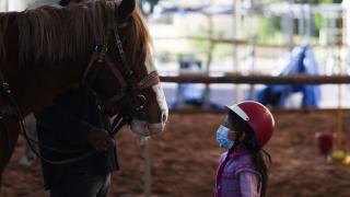 Bolivya'da zihinsel engellilere atlarla terapi uygulanıyor