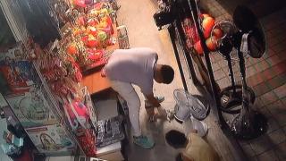 Yavru kediyi kalp masajıyla hayata döndürdü