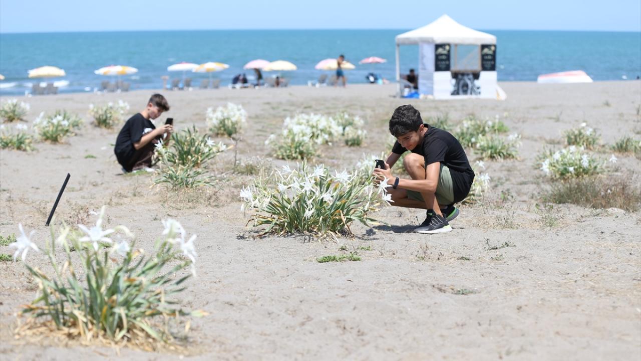 "Ekibimizle 3 yılda yaklaşık 3 bin 100 kök taşıdık"