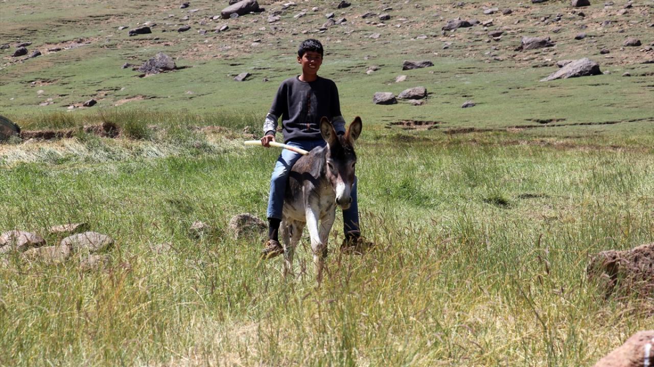 "Yaylanın her şeyi güzel"