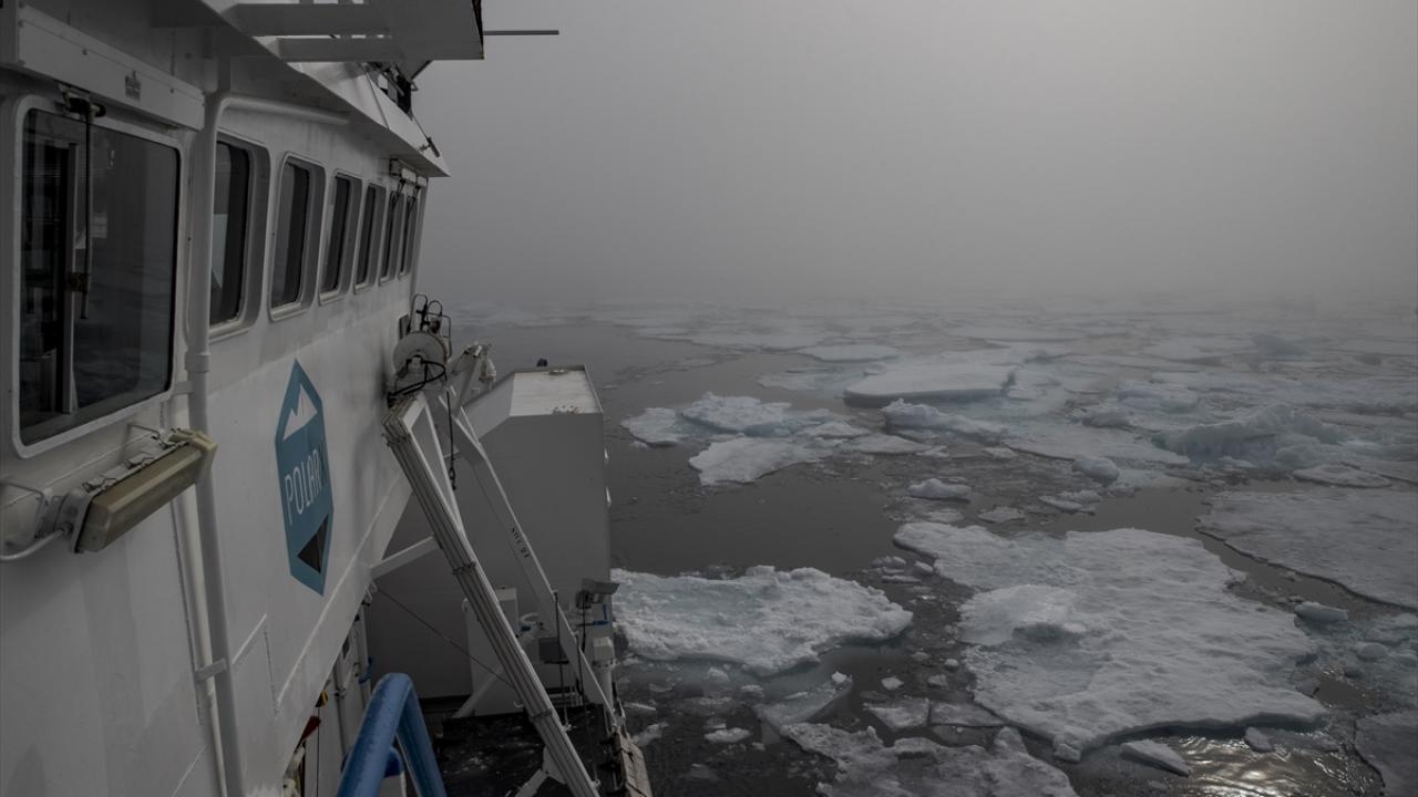 "Her geçen yıl aslında bir önceki yıla göre bir şeylerin değiştiğini görmek çok üzücü"