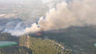 Aydın'da orman yangını