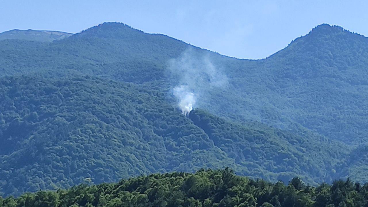 Bursa'da ormanlık alanda yangın