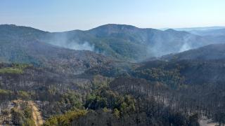 Kütahya'daki orman yangını kontrol altına alındı