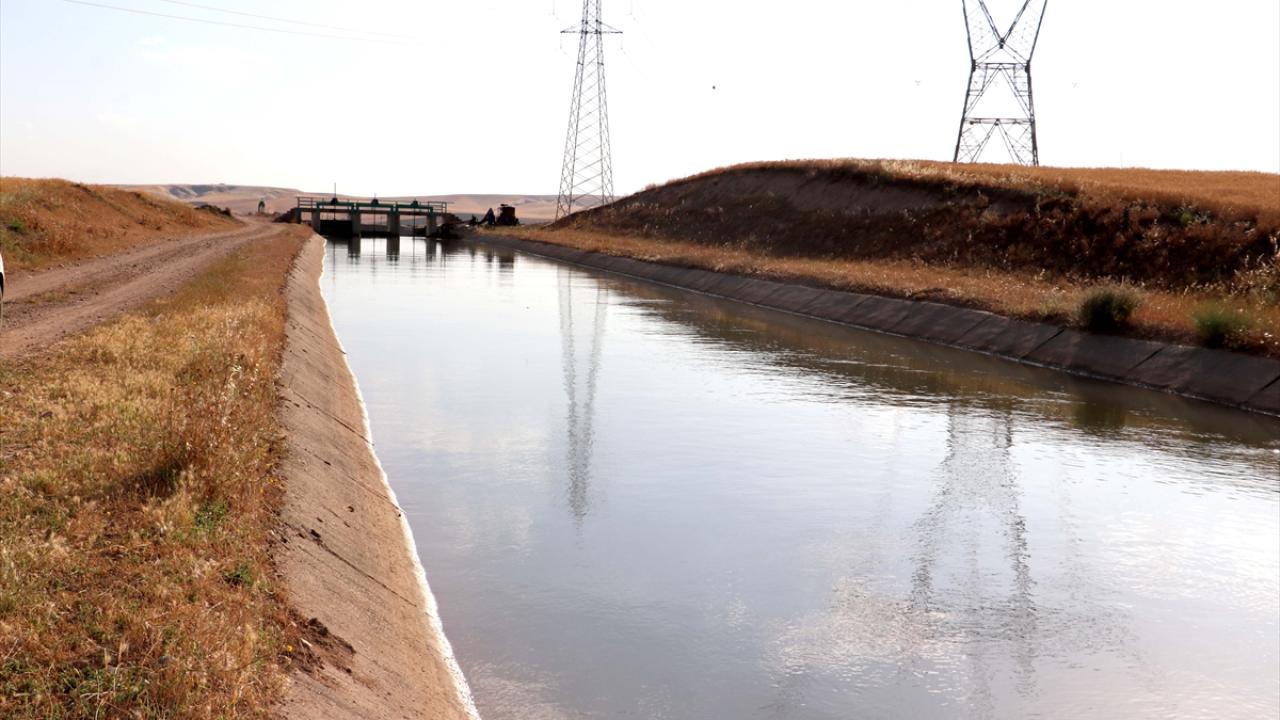 "Tarlalarımızı rahatça sulama imkanımız var"