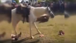 Atın çarptığı kişi hayatını kaybetti