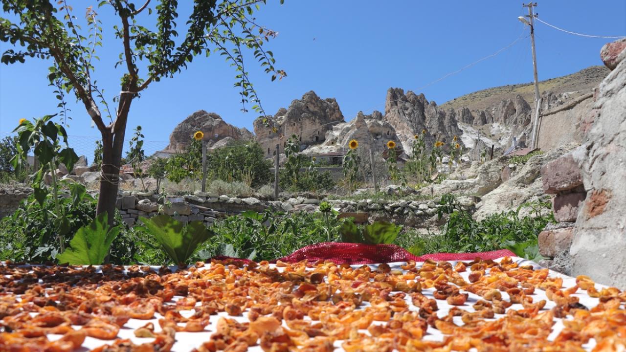 "Kayısımız ilaçsız ve doğaldır"