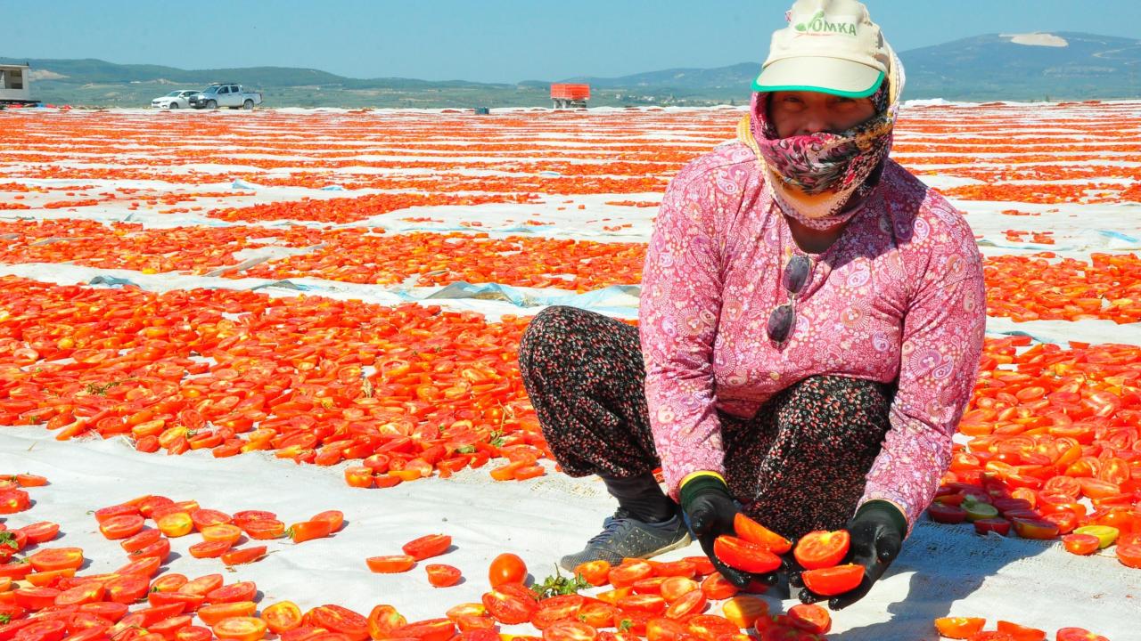 "Makineli üretimde çok verim aldık"