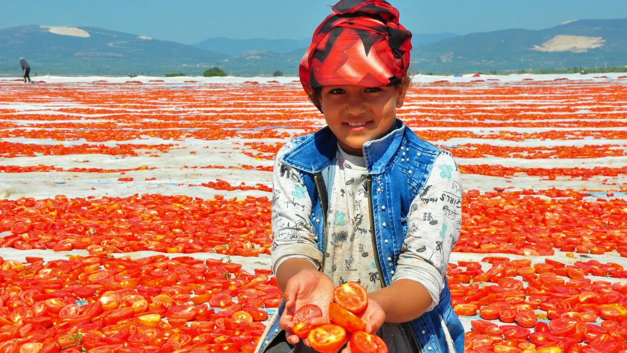 "Ekim alanı daraldı"
